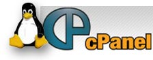 Cheap Cpanel Linux Hosting in India