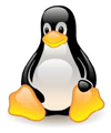 Cheapest Linux Hosting in Mysore